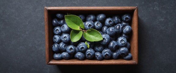 Wall Mural - Fresh raw blueberry with green leaves on dark. Top view flat lay