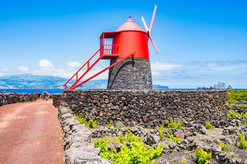 Wall Mural - Historic windmill building among vineyard culture and volcanic rocks, Pico island, Azores, Portugal