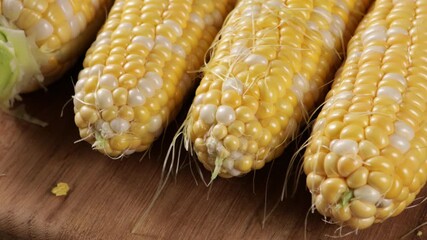 Poster - uncooked maize corn food rotation