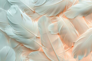 Poster - Delicate Bird Feathers Arranged on Soft Color Background Creating Tranquil Aesthetic for Nature Lovers