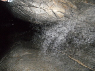  Byci skala caves in Moravian karst,Moravia,Czech republic,Storied historic cave with bats & archaeological relics, occasionally open to the public.

