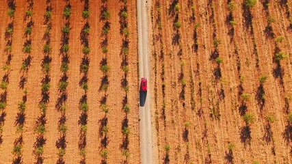 Wall Mural - Red camper van driving through the Gorafe desert in Andalusia, Spain