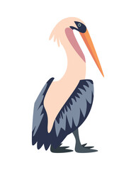 Wall Mural - pelican bird cartoon