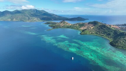 Wall Mural - A beautiful coral reef surrounds the volcanic island of Pulau Pura in Indonesia. This scenic area is near Maumere, Flores, and is home to extraordinary marine biodiversity.