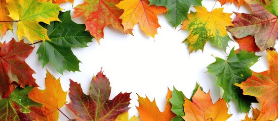 Poster - Colorful autumn leaves arranged in a frame with copy space image