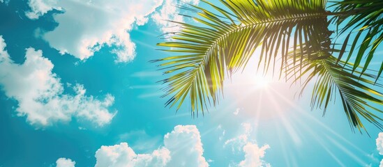 Wall Mural - A scenic summer scene with palm leaves against a blue sky with fluffy clouds on a sunny day ideal for a copy space image