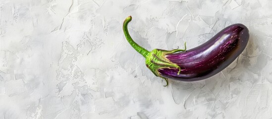 Poster - Top view of a green eggplant with copy space image on a white backdrop