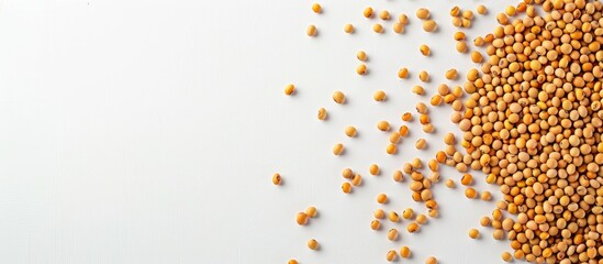 Leinwandbilder - Yellow beans isolated on a white backdrop with plenty of copy space image