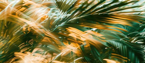 Aufkleber - Blurry leaves of a moving palm tree create an abstract pattern suitable for business blogs t shirt designs or water sports shown in an artistic photograph with filtered effect. with copy space image