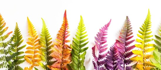 Aufkleber - Exotic colored fern leaves set against a white copy space image perfect for nature themed designs