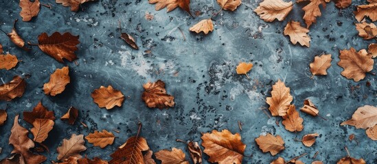 Aufkleber - Instagram style photo featuring dry leaves on the floor with copy space image