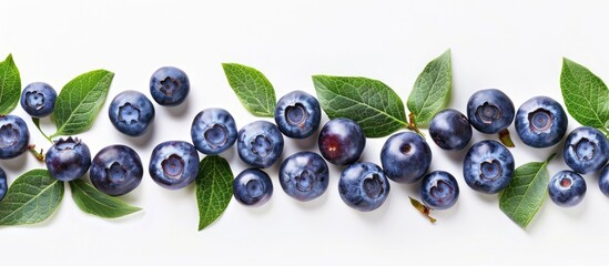 Aufkleber - Freshly picked organic blueberries arranged in studio shot on white background with copy space image for showcasing healthy super antioxidant fruit food