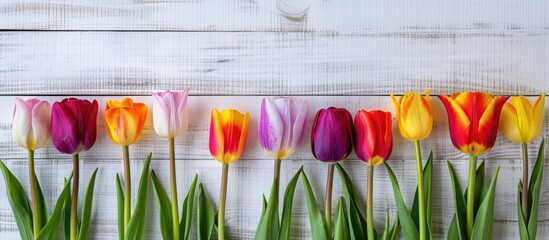 Leinwandbilder - Vivid multicolored tulips on a light wooden backdrop with ample copy space image for birthdays or other festivities