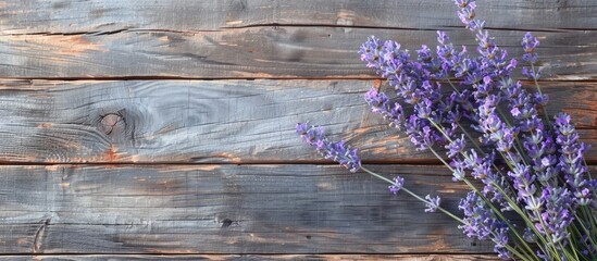 Aufkleber - Selective focus on a lavender frame against a rustic wooden backdrop with empty space for text or image insertion. with copy space image. Place for adding text or design