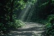 © JK_kyoto - Summer journey on a nature walk highlights scenic paths with sunlight filtering through dense forests, presenting an ultramodern, supernatural scene, banner, with copy space