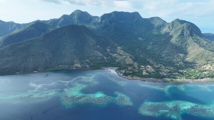 Wall Mural - A beautiful coral reef surrounds the volcanic island of Pulau Pura in Indonesia. This scenic area is near Maumere, Flores, and is home to extraordinary marine biodiversity.