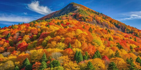 Poster - Mountain covered in vibrant orange, red, and yellow foliage during the autumn season, mountain, autumn, fall, foliage, trees