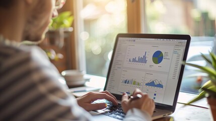 Wall Mural - A digital marketer analyzing PPC campaign results on a laptop