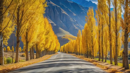 Wall Mural - Scenic road through autumn Himalayan landscape lined with golden poplar trees, serene, asphalt road, colorful