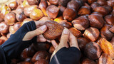 A person's hand holds a fresh salak fruit, known as snake fruit, surrounded by a pile of the fruit at a market stall. Fresh Salak Fruit From Market Stall Background.