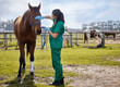 © CineLens2024/peopleimages.com - Horse, vet and stroke on farm for health, examination and leg injury of stallion at ranch. Appointment, animal or woman doctor in countryside for check up, inspection or consultation for pet wellness