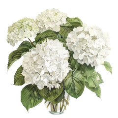 Wall Mural - hydrangea