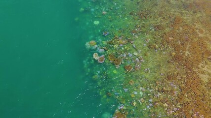 Wall Mural - Warmer water temperatures result coral reef bleaching, aerial top view. Greenhouse gas emissions are killing shellfish in coral reefs on tropical islands' coastal shelves.