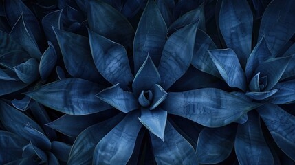 Poster - A close-up view of a plant with distinctive blue-colored leaves