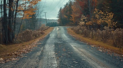 Poster - A winding dirt road in a dense forest, ideal for outdoor adventures and nature photography