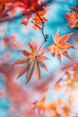 Poster - A close-up shot of a single leaf on a tree, highlighting its texture and details