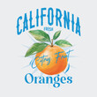 © MdAlImran - Orange graphic print design, summer fruit design , vintage grunge food fashion orange art, typography slogan text print design, California Malibu, fruit print graphics for t-shirt Design