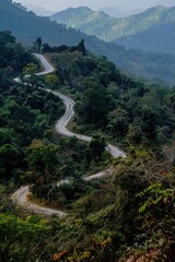 Aufkleber - A winding road through a dense forest
