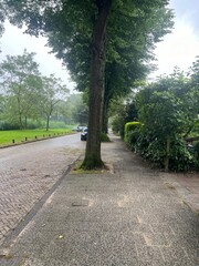 Canvas Print - View of pavement along road near park