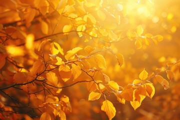 Poster - A bright sunbeam filters through the leaves of a tree, casting dappled shadows on the ground