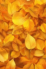 Aufkleber - A cluster of bright yellow leaves captured in a close-up shot