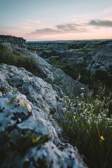 Poster - Wildflowers blooming in a rocky landscape, ideal for travel or nature photography