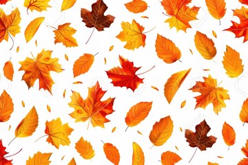 Poster - A collection of autumn leaves on a white background