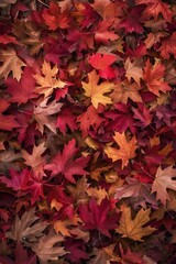 Wall Mural - A colorful mix of red and yellow leaves fallen from trees, scattered on the ground