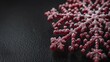 © vimp - A rich red snowflake sparkles with frost against a dark backdrop