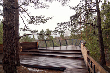 Forest viewpoint with wooden platform offering scenic views. Overcast, serene, and surrounded by trees.