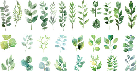 spring leaves and branches illustration in watercolor, isolated on white background.