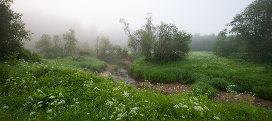Aufkleber - A summer lush green field with a small stream running through it. The sky is overcast and the grass is wet