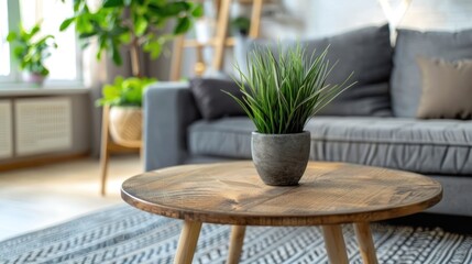 Decorative plants on a wooden table in the living room