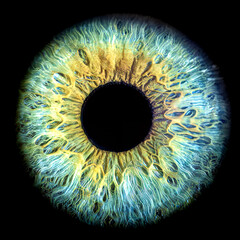 Wall Mural - macro shot of a colorful human iris with intricate details and mesmerizing patterns