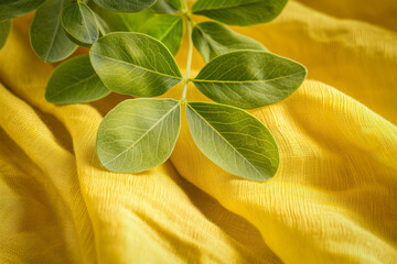 Sticker - Fenugreek leaves or methi, popular indian fruit, on indian motif background