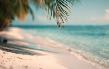 Canvas Print - Palm Frond Over Tropical Beach