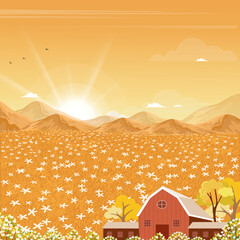 Wall Mural - Autumn Background,Sunset Sky in Fall Season,Natural Village landscape wood barn, white flower field on hills.Vector illustration cartoon forest,yellow grass meadow with cloud, orange sky over mountain