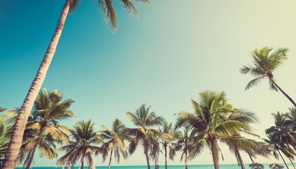 Sticker - tall palm trees on tropical beach with clear sky on background vintage color filtered with copy space