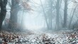 © Maria - A tranquil forest path is shrouded in light fog, creating a serene atmosphere amidst fallen leaves