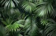 © homeganko - Lush Green Tropical Foliage